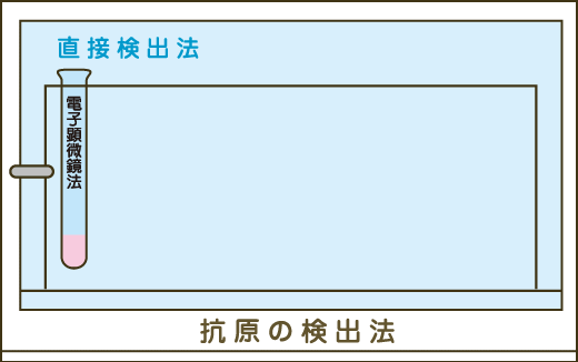 抗原の検出法