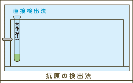 抗原の検出法