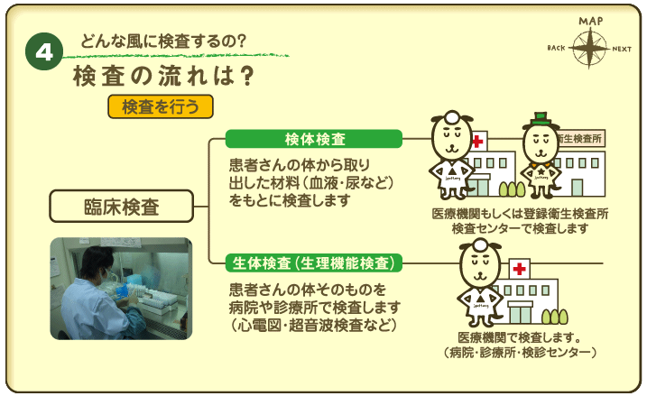 検査を行う